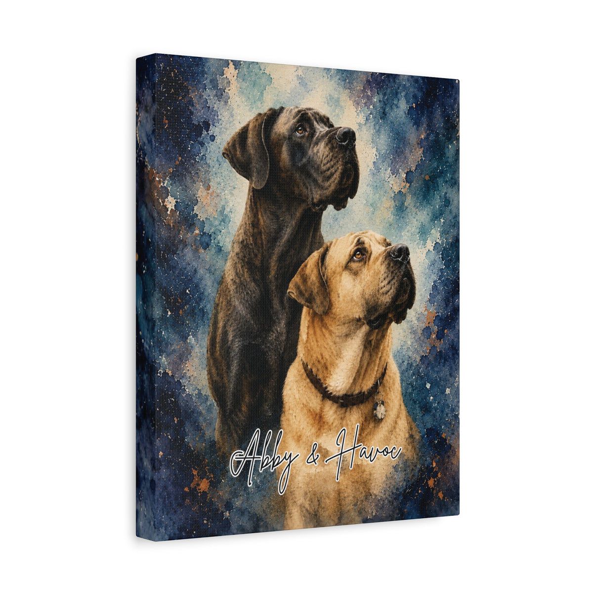 Custom watercolor wrapped canvas featuring Abby and Havoc with their names against a blue and copper watercolor-inspired background.