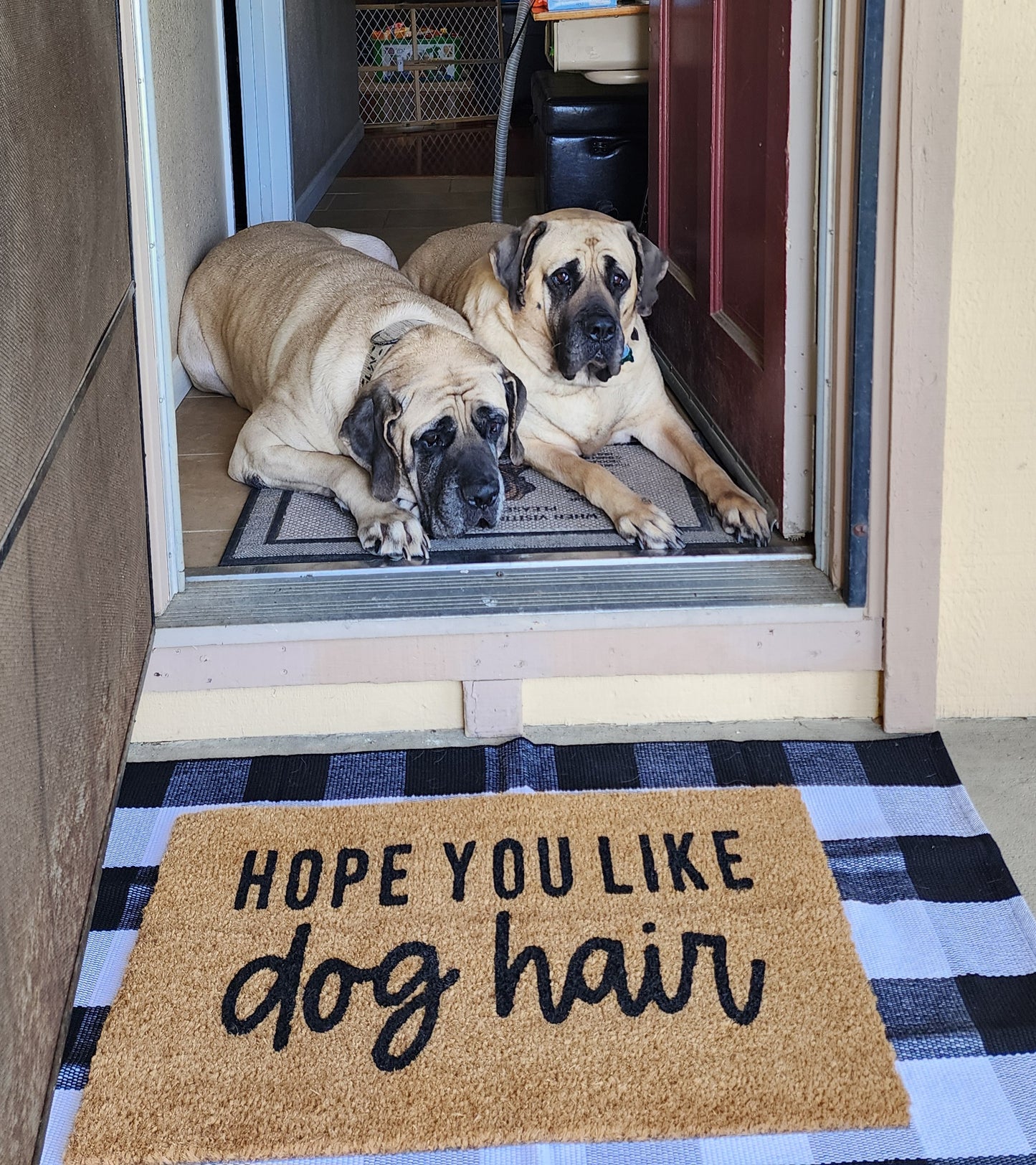 Hope You Like Dog Hair Doormat