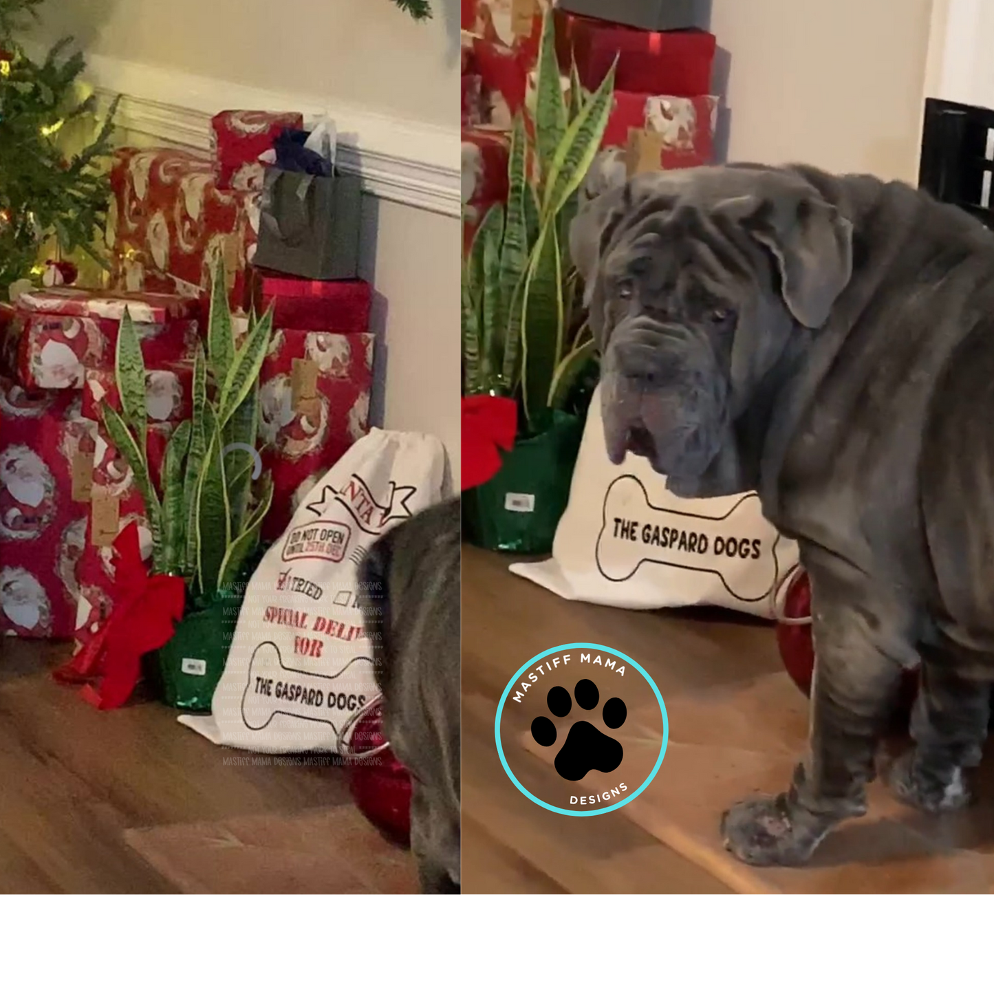 Christmas Santa Paws Pet Gift Bag - Personalized