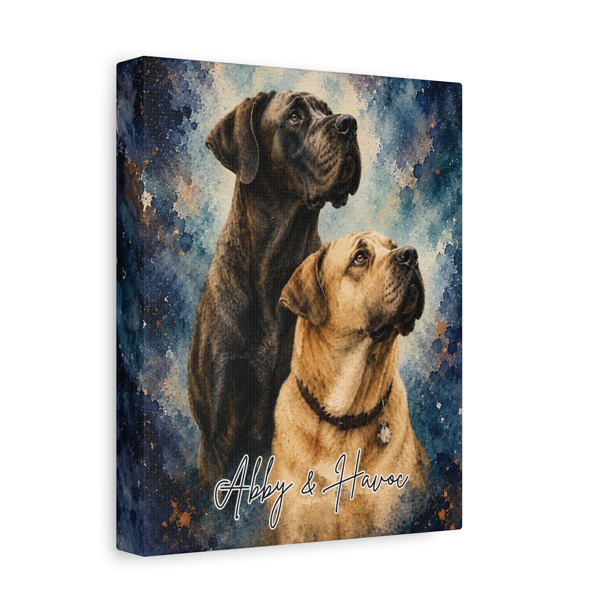 Custom watercolor wrapped canvas featuring Abby and Havoc with their names against a blue and copper watercolor-inspired background.