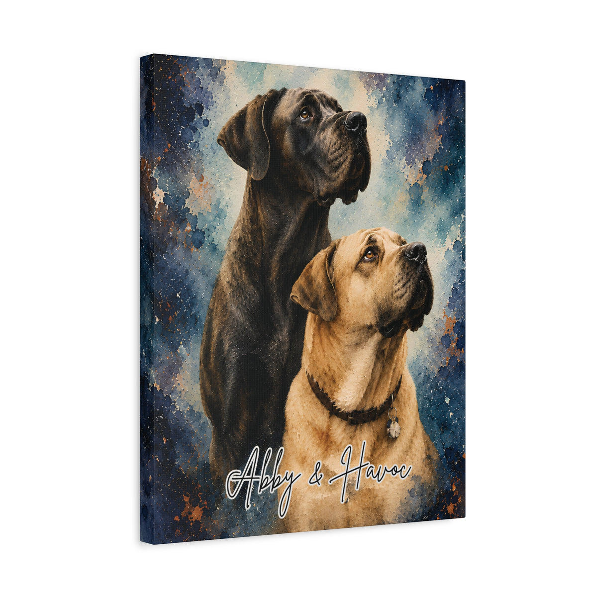 Custom watercolor wrapped canvas featuring Abby and Havoc with their names against a blue and copper watercolor-inspired background.
