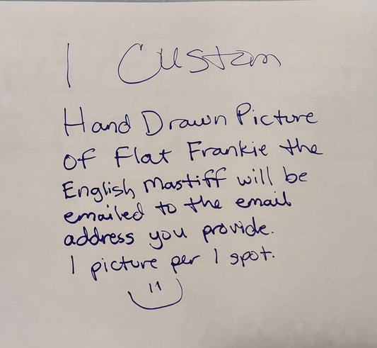 Custom Hand Drawn Picture of Flat Frankie - 1 picture per spot to be emailed to you