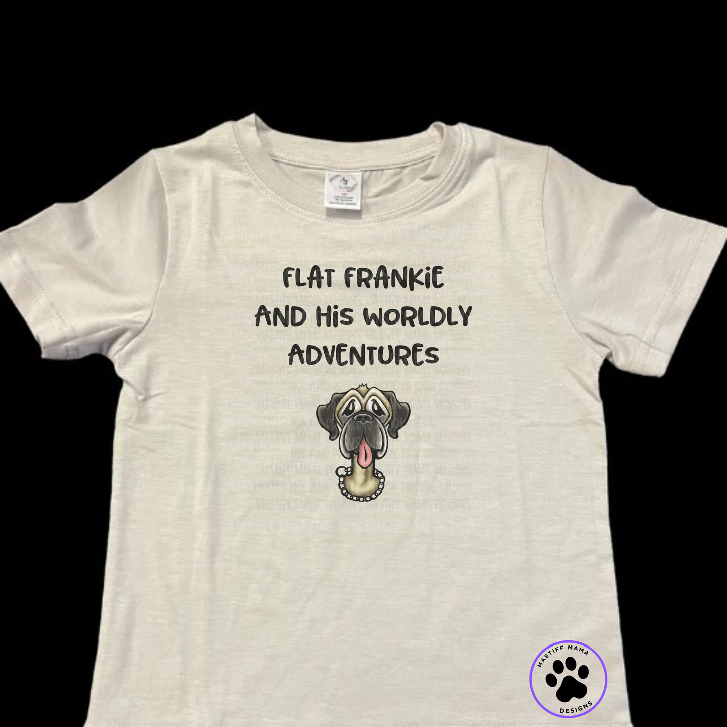 Flat Frankie And His Worldly Adventures Youth Short & Long Sleeve Shirt And Color Options Full Color