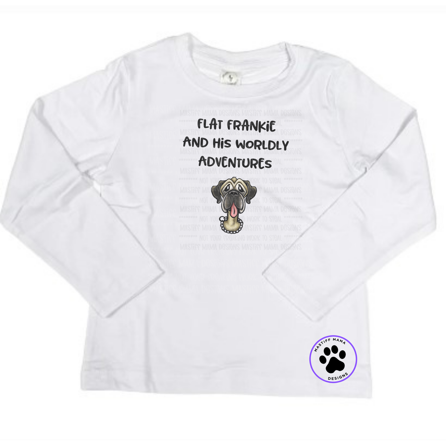 Flat Frankie And His Worldly Adventures Youth Short & Long Sleeve Shirt And Color Options Full Color