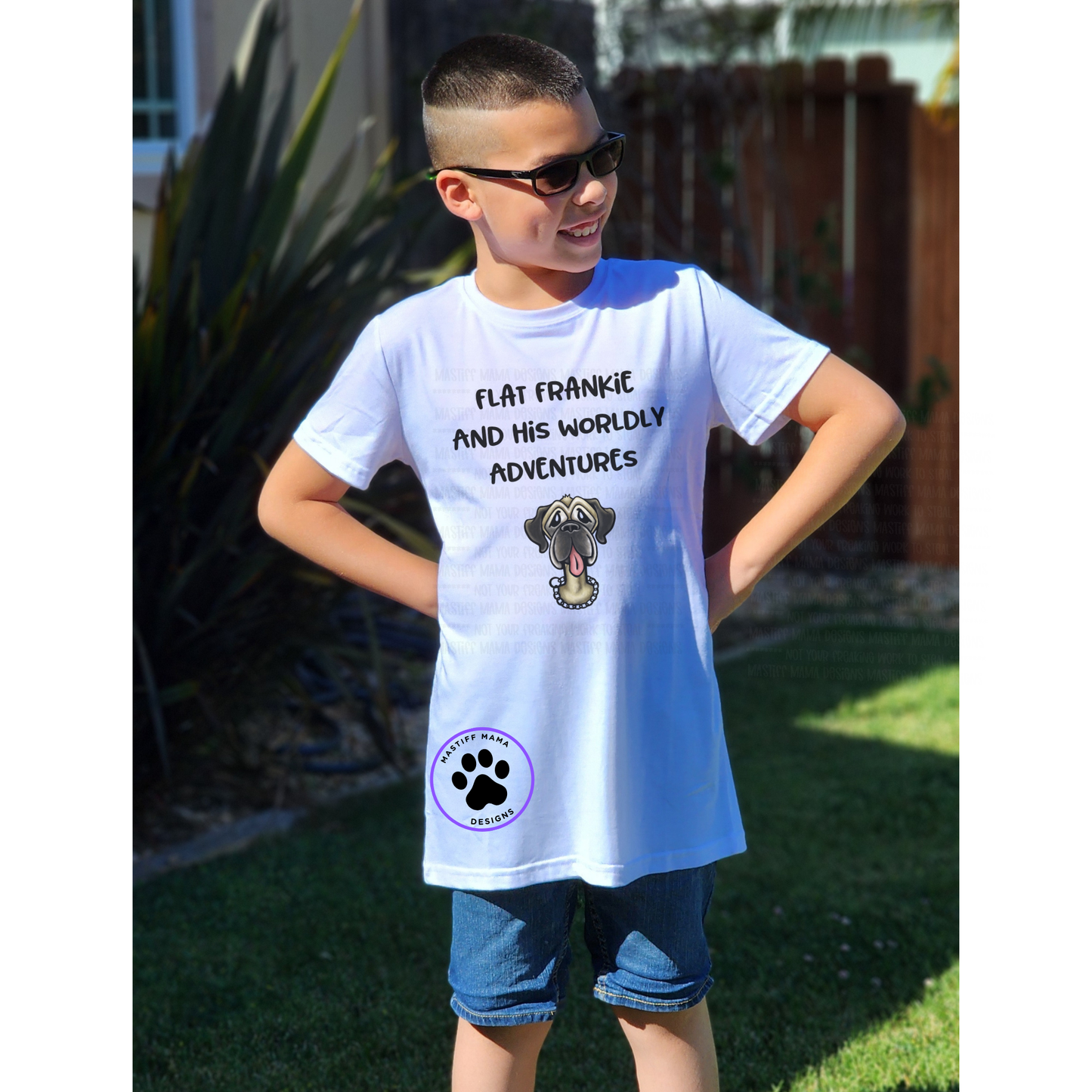 Flat Frankie And His Worldly Adventures Youth Short & Long Sleeve Shirt And Color Options Full Color